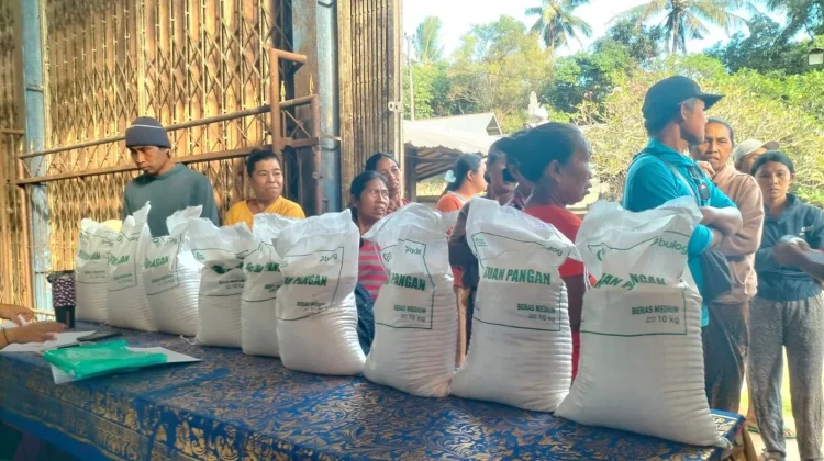 BULOG Bali Pastikan Kualitas Beras Bantuan dalam Kondisi Baik
