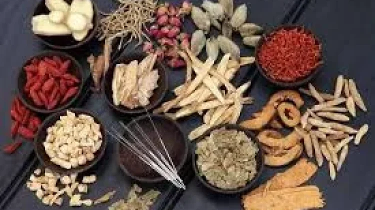 Ini dia, 13 Jenis Tanaman Obat yang Sebaiknya ada di Rumah