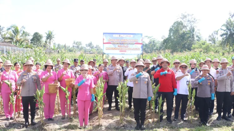 Panen Raya Jagung di Gianyar, Dorong Penguatan Ketahanan Pangan dan Kesejahteraan
