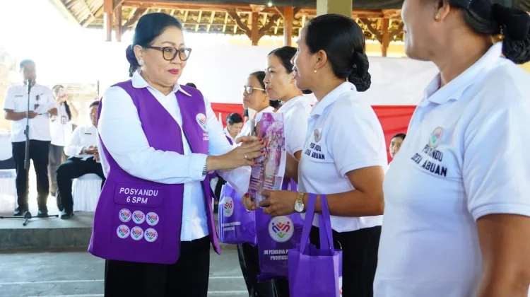 TP Posyandu Bali Perkuat Peran Kader, Kini Tak Hanya Bidang Kesehatan