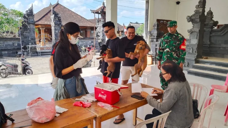 Babinsa Beraban Dampingi Vaksinasi HPR Perkuat Pencegahan Rabies