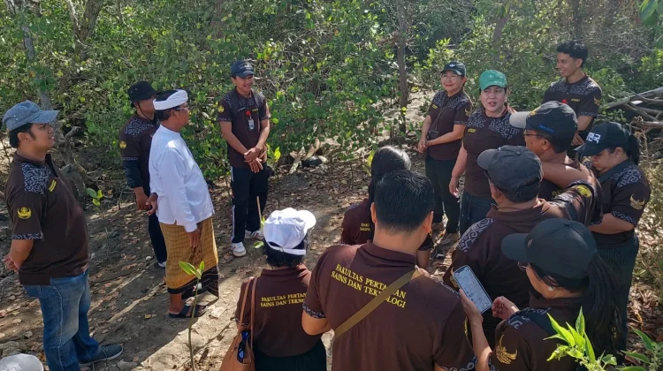 Belajar Keberlanjutan Lingkungan sebelum Masuk Ruang Kuliah