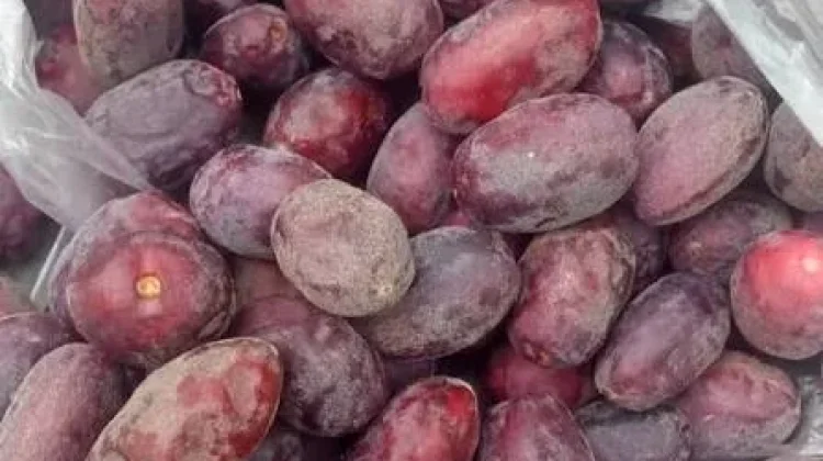 Mengenal Buah Kelampitan Bali, Buah Langka yang Kian Sulit Ditemui