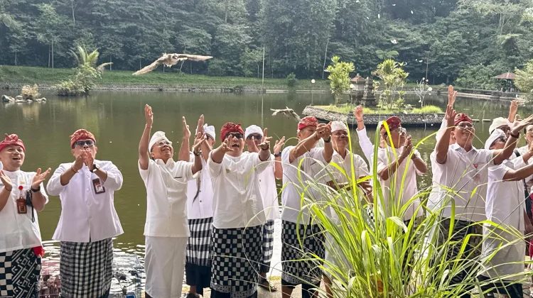 Perayaan Rahina Tumpek Uye Dilaksanakan Serentak di Bali