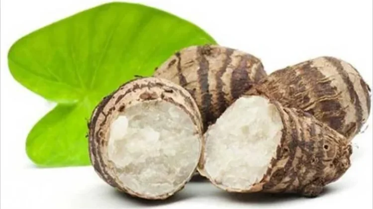 Talas, Alternatif Karbohidrat Kaya Serat dan Kalium Selain Nasi