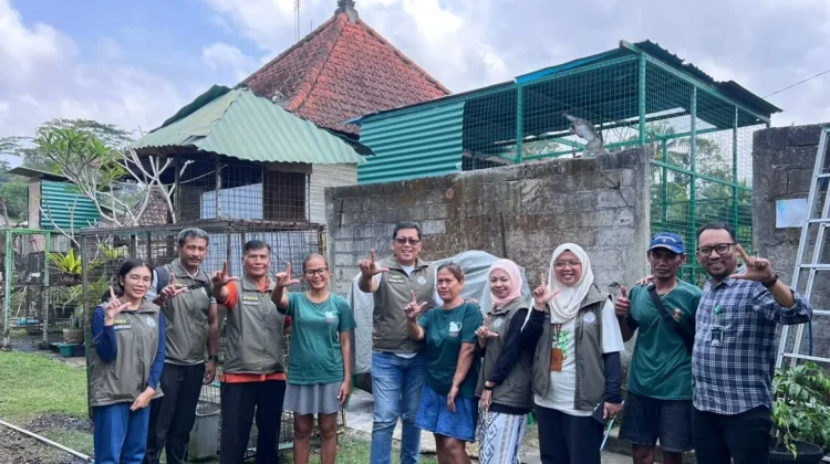BKSDA Bali Perkuat Kolaborasi Konservasi Bersama Bali Monkey Rescue