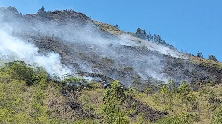 Puncak Kemarau, Lereng Gunung Batur Rawan Karhutla