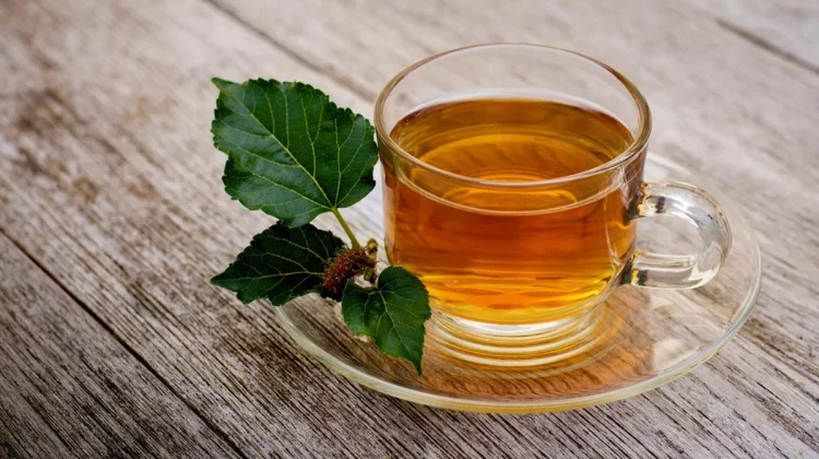 Resep Teh Daun Murbei Rumahan: Bebas Getah Sepat, Kaya Antioksidan