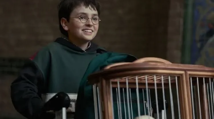 Trailer Serial Harry Potter Tampilkan Detail Momen Tahun Pertama di Hogwarts