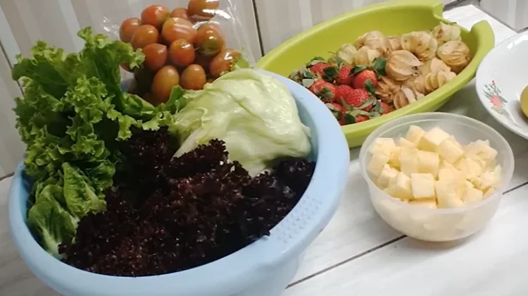 Mengenal Cara Mengolah Buah Ciplukan yang Mudah dan Sederhana