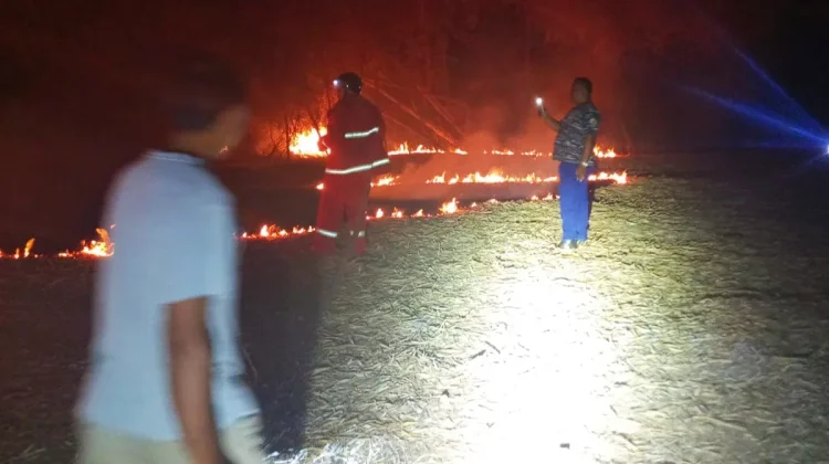 Lahan Rumpun Bambu Milik Warga Perancak Hangus Terbakar