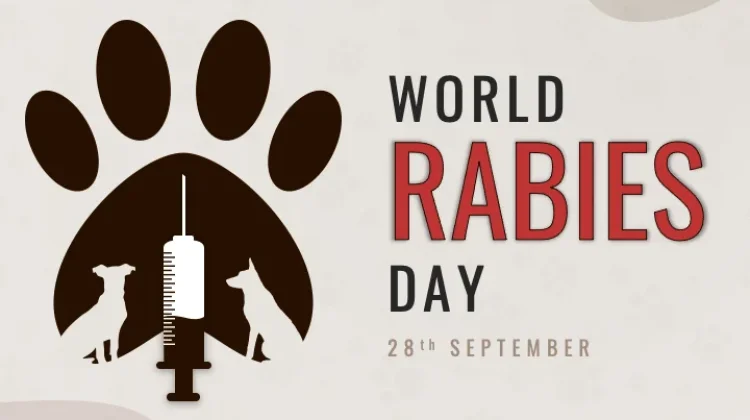 Peringatan Hari Rabies Sedunia: Mengenal Bahaya dan Pencegahan Rabies