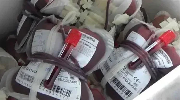 PMI Bali Targetkan Stok 120–125 Kantong Darah per Hari