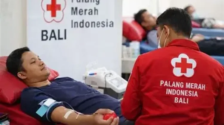 PMI Bali Ingatkan Pendonor Jaga Kondisi sebelum Donor Darah