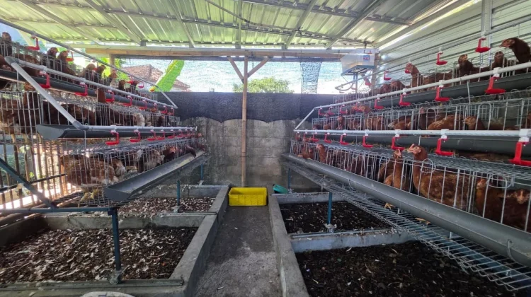 Pelindo Lanjutkan Program WISE di Ring 1 Pelabuhan Benoa