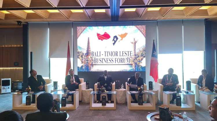 Pigai: Kerja Sama Indonesia-Timor-Leste Tak Cukup Hanya Bicara Investasi