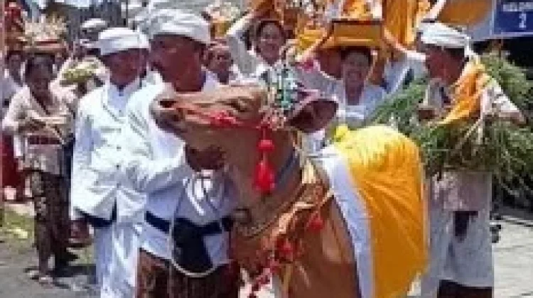 Murwa Daksina: Perjalanan Panjang menuju Tingkat Kesucian