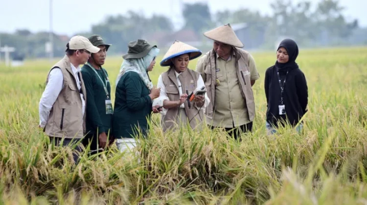 Menkomdigi: Pemanfaatan Teknologi Digital Berdampak terhadap Sektor Pertanian