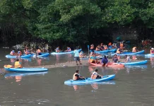 Susur Mangrove, 2,5 Ton Sampah Plastik Terkumpul