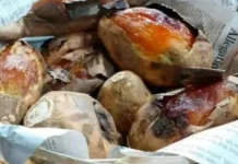 Ini Resep Snack Viral Ubi Cilembu Cheesecake