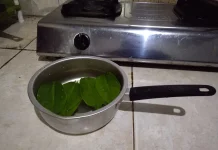 Manfaat Rebusan Daun Salam bagi Kesehatan