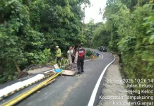 Patroli Polres Gianyar Cek Daerah Rawan Pohon Tumbang dan Longsor