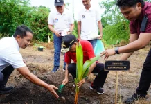Koster bersama Perbarindo Tanam 1.000 Kelapa Daksina