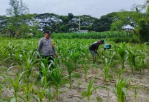 Polres Klungkung Dukung Perwujudan Ketahanan Pangan