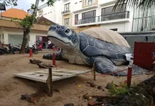 BSTS Ajak Masyarakat dan Wisatawan Terlibat Jaga Penyu dan Habitat Pantai