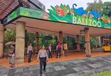 Polres Gianyar Perketat Pengamanan Objek Wisata Bali Zoo