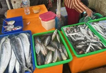 Cuaca Buruk Picu Kenaikan Harga Ikan di Pasar Kedonganan