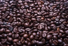 Hari Kopi Nasional Perkuat Identitas Nusantara