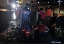 Respon Cepat Polsek Mengwi Tangani Pohon Tumbang