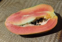 Manfaat Biji Pepaya yang Jarang diketahui