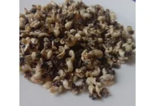 Klejat, Buah Tangan Khas Serangan Bali