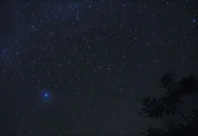 Nyepi sebagai “Istirahat Alam” di Bali