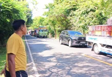 Antrean Logistik Mengular hingga Hutan Cekik Gilimanuk