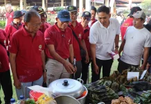 Gubernur Koster Harap Peran Aktif Perawat Membangun Kesehatan Masyarakat