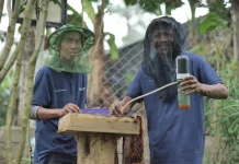 Hutan Lestari Pertamina Pulihkan Alam, Dongkrak Ekonomi Warga