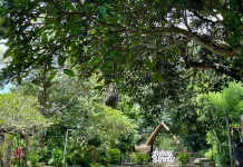 Komunitas Sungai Bali Dorong Kepedulian Lingkungan Berkelanjutan