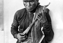 Kulcapi Alat Musik Tradisional Karo dan Perkembangannya