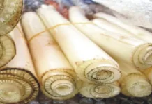 Tips Mengolah Sayur Ares agar Lemas dan Empuk
