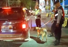 Hadapi Arus Balik, Kepolisian Lakukan Pengetatan Keamanan dan Kerahkan K9