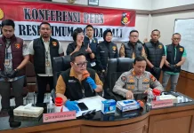 Polisi Ungkap Kasus Pelecehan Seksual WNA China di Bali