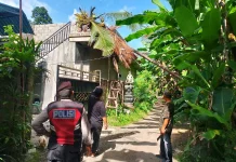 Respons Cepat, Polsek Dawan dan BPBD Evakuasi Pohon Tumbang di Paksebali