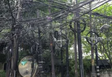Satpol PP Denpasar Tertibkan Kabel Sembrawut