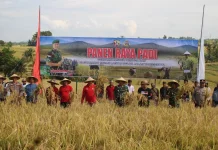 Kodim Tabanan Perkuat Ketahanan Pangan