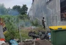 Satpol PP Denpasar Tidaklanjuti Empat Laporan Pembakaran Sampah