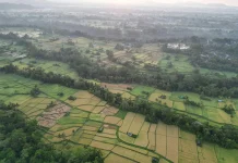 Waspada Mafia Tanah! Delapan Langkah Preventif sebelum Bertransaksi Properti
