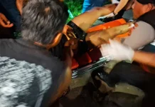 Gagal Kabur, Terduga Pelaku 'Begal Paha' Masuk Parit
